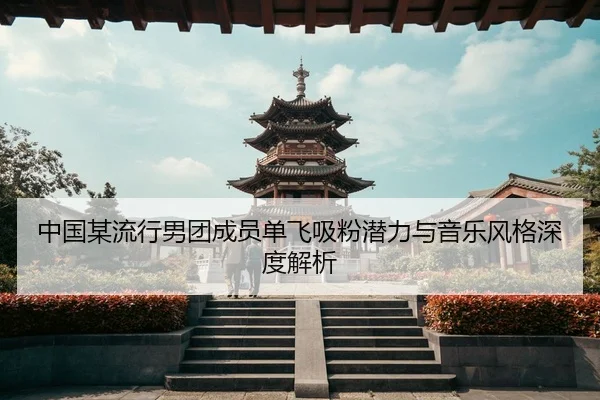 中国某流行男团成员单飞吸粉潜力与音乐风格深度解析
